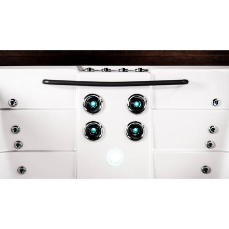 Плавательный спа-бассейн Vortex Spas Aqualounge